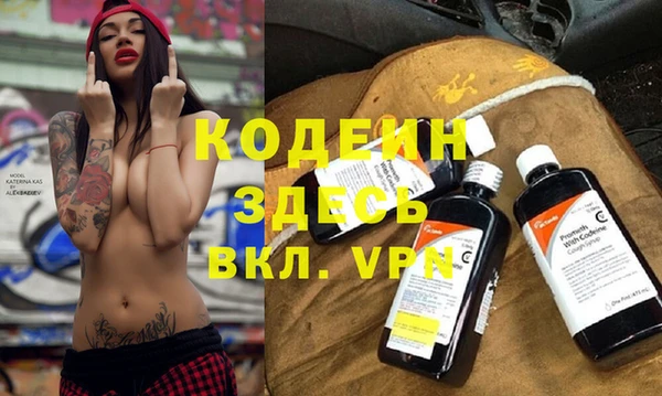 прущие грибы Алзамай