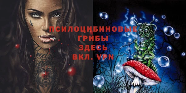 прущие грибы Алзамай