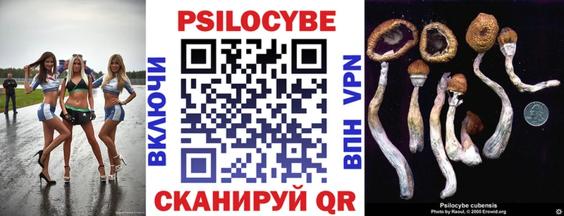 Псилоцибиновые грибы Psilocybine cubensis  Купить где  Киржач 